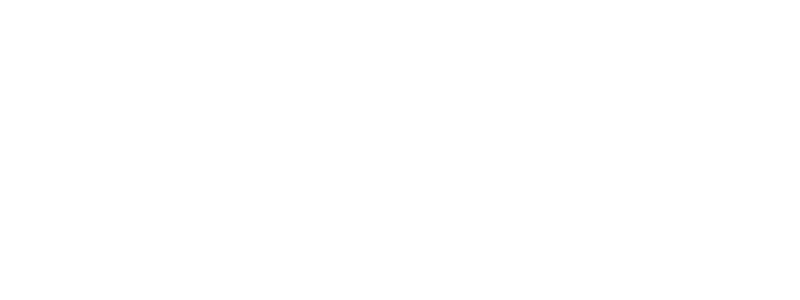 E1 Management Consulting Logo